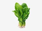 Spinach