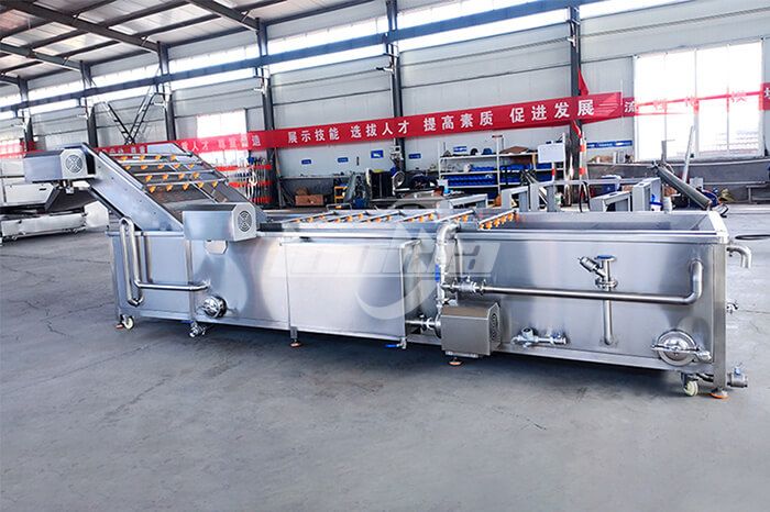 Industrial Vegetable Washing Machine: Features, Benefits, and Trusted Manufacturers