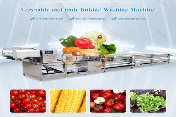 Top Vegetable Washing Machine Manufacturers for Industrial Food Processing