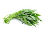 Water Spinach