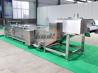 Tunnel Sterilizer