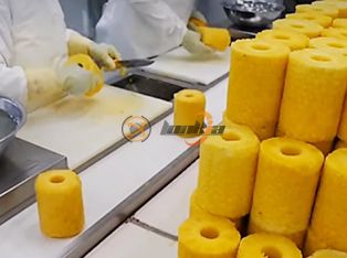Pineapple Canning Processing Line Product Photograph