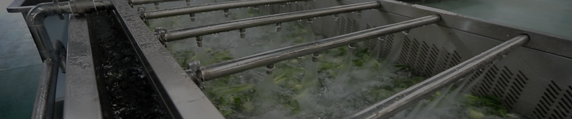 Steaming Roasting Machines