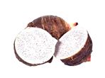 Taro