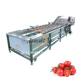 Wash the Tomatoes