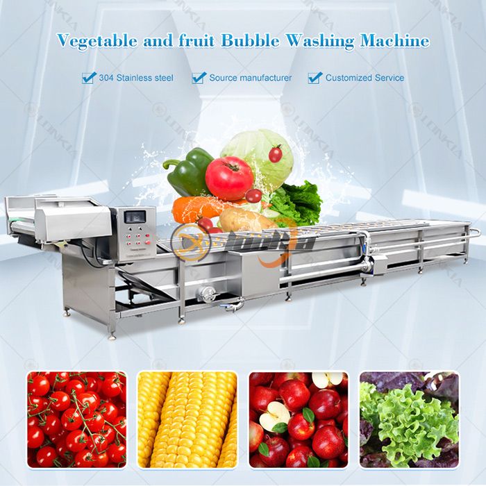 Top Vegetable Washing Machine Manufacturers for Industrial Food Processing