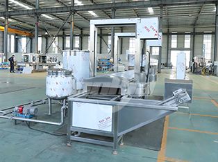 Continuous Frying Machine Product Photograph