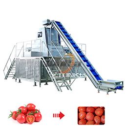 Tomato Peeling