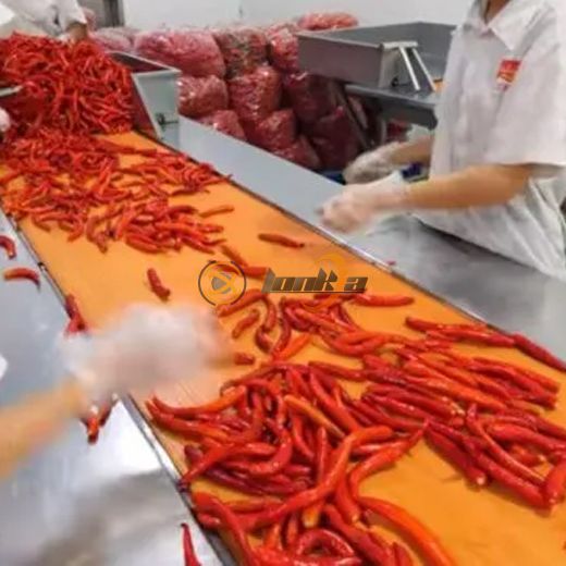 Chili Canning Processing Line