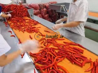 Chili Canning Processing Line Product Photograph