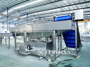 Cucumber Canning Processing Line Product Photograph