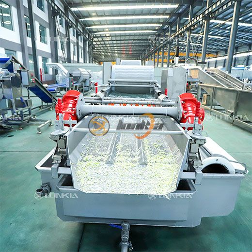 Fresh-Cut Vegetable Processing Line