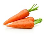 Carrot