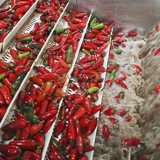Chili Canning Processing Line