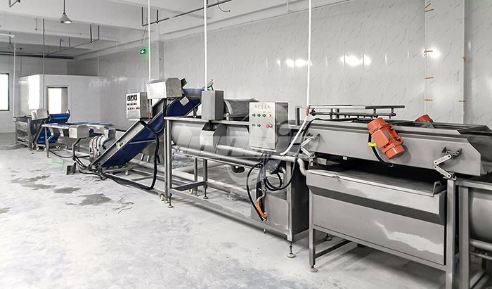 Vegetable Washing Machine