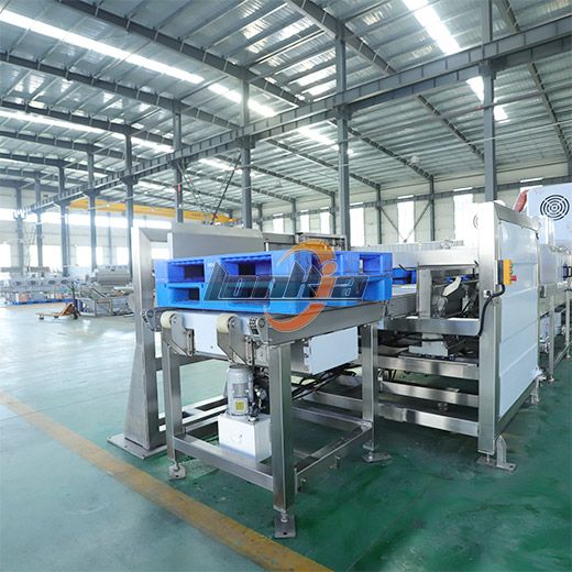 Pallet Washer