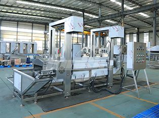 Continuous Frying Machine Product Photograph