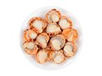 Shellfish