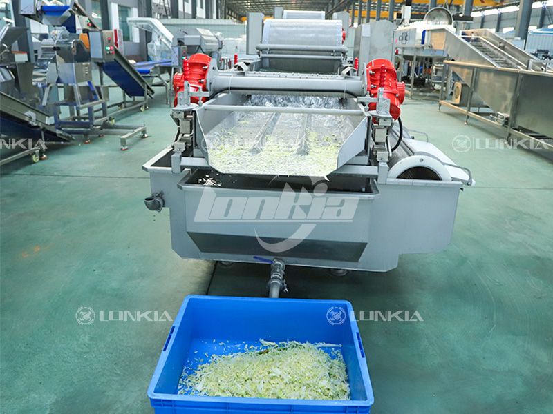 Vortex Washing Machine Applications Across Different Vegetables and Fruits