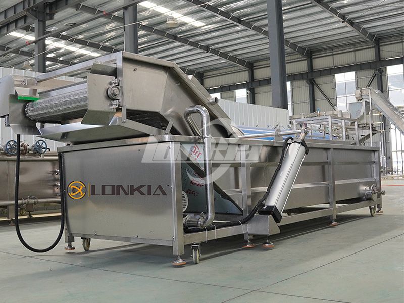 How to Choose the Right Bubble Washer for Your Vegetable Processing Line?