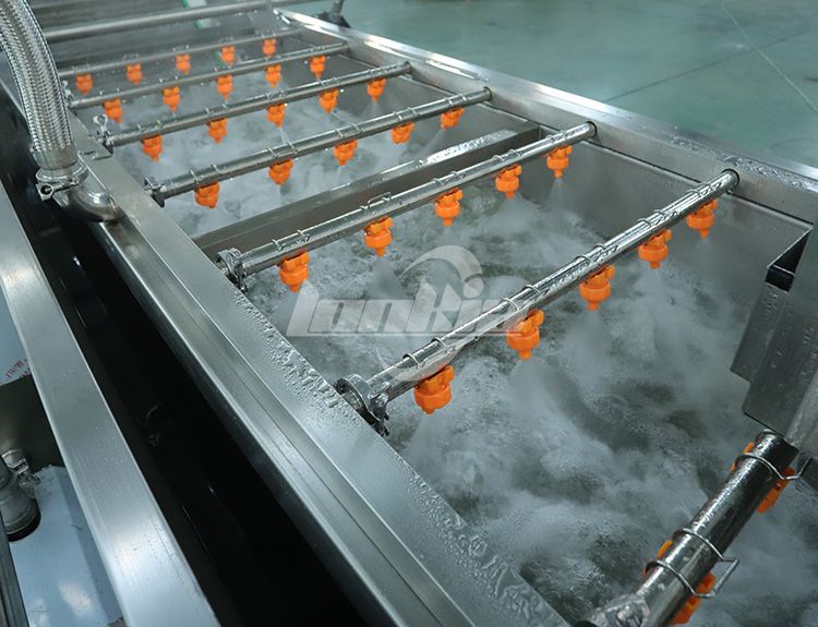 Vegetable Washing Machine7