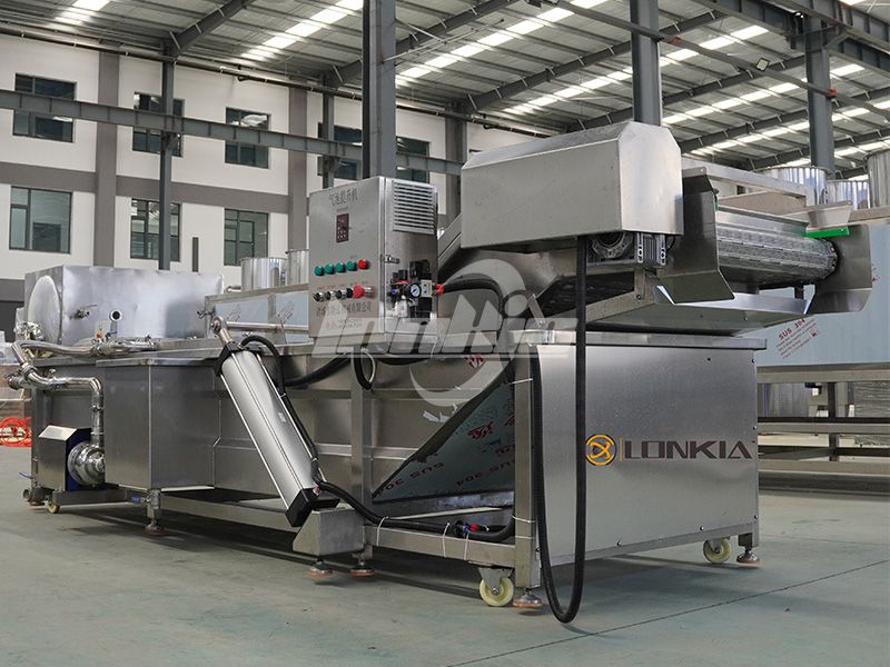 What Affects the Blueberry Cleaning Equipment Price?