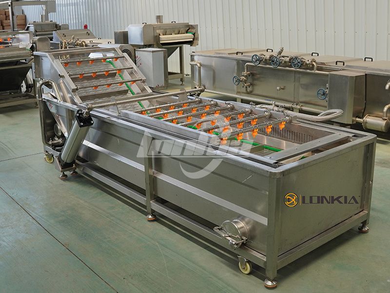 Blueberry Cleaning Equipment