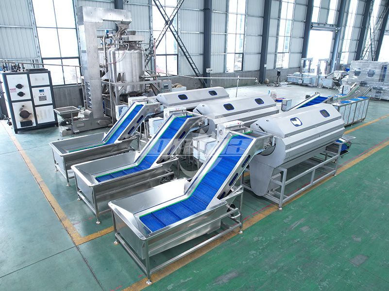What Capacity Potato Washing and Peeling Machine Do You Really Need?