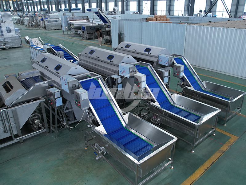 What Capacity Potato Washing and Peeling Machine Do You Really Need?