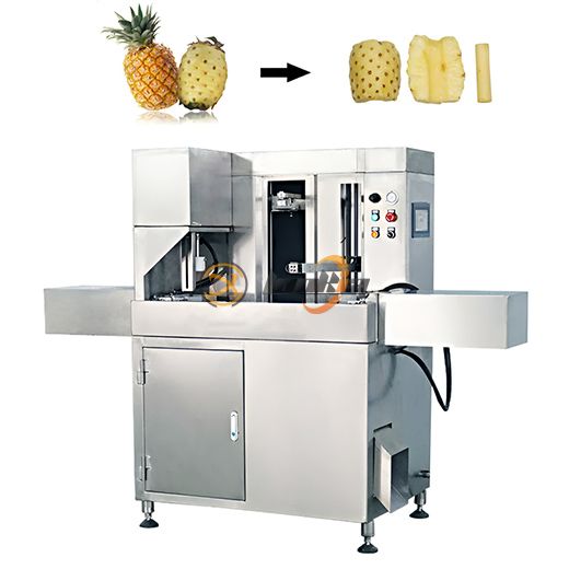 Pineapple Canning Processing Line