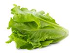 Lettuce