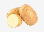 Potato