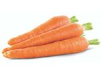 Carrot