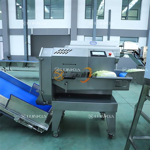 Fresh-Cut Vegetable Processing Line