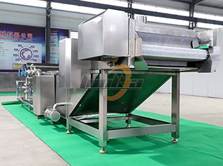 Tunnel Sterilizer Product Photograph