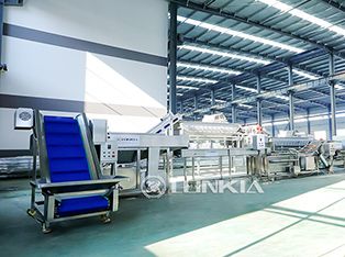 Cucumber Canning Processing Line