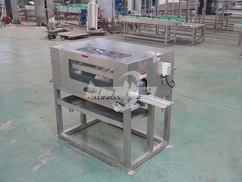 Step-by-Step Guide to Operating a Fish Gutting Machine