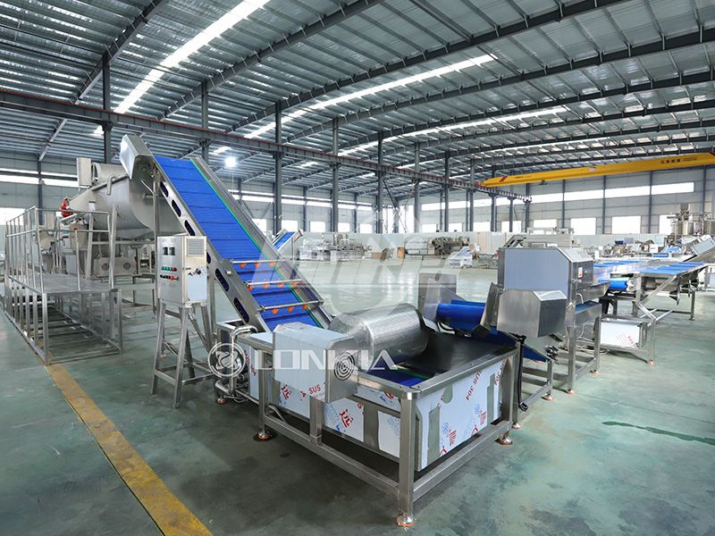 How Much Does a Vegetable Processing Line Really Cost? A Complete Investment Breakdown