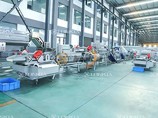 Fresh-Cut Vegetable Processing Line Product Photograph