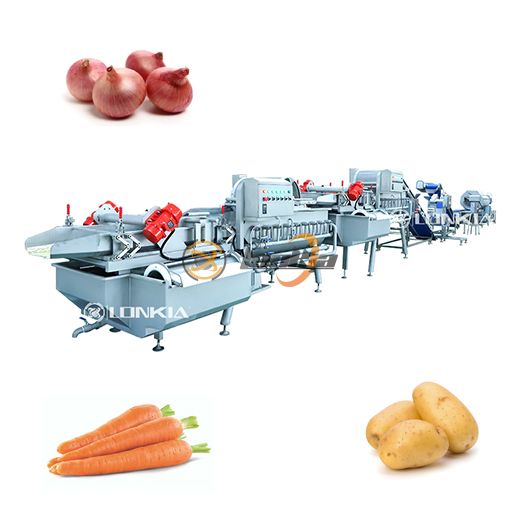 Fresh-Cut Vegetable Processing Line