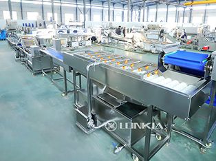Cucumber Canning Processing Line