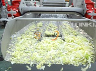 Fresh-Cut Vegetable Processing Line Product Photograph
