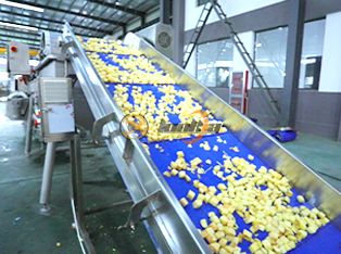 Fresh-Cut Vegetable Processing Line Product Photograph