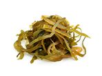 Kelp
