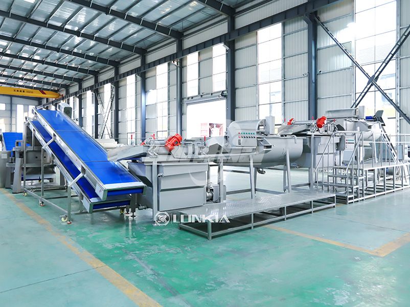 Fruit and Vegetable Processing Machine for Leafy Vegetables: What Makes It Different?