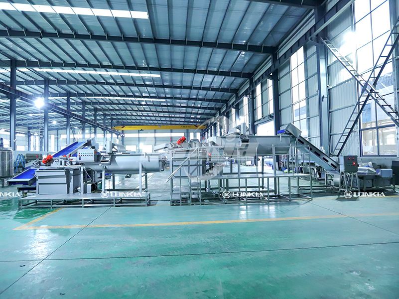Fruit and Vegetable Processing Machine for Leafy Vegetables: What Makes It Different?
