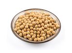 Soybean