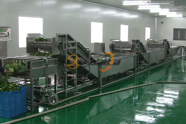 Why Leading Vegetable Washing Machine Manufacturers Prefer Industrial-Grade Designs