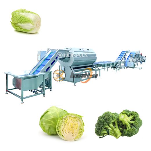 Fresh-Cut Vegetable Processing Line