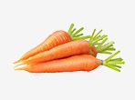 Carrot